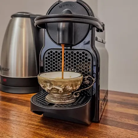 公寓 Suite Nobile Torino - Centro Storico E Garage *